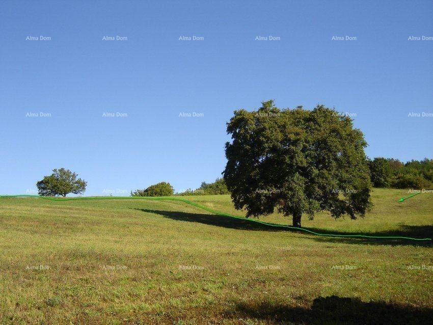 Terreno In vendita - ISTARSKA MOTOVUN