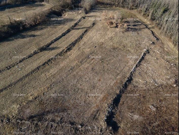 Pozemek Na prodej - ISTARSKA PAZIN