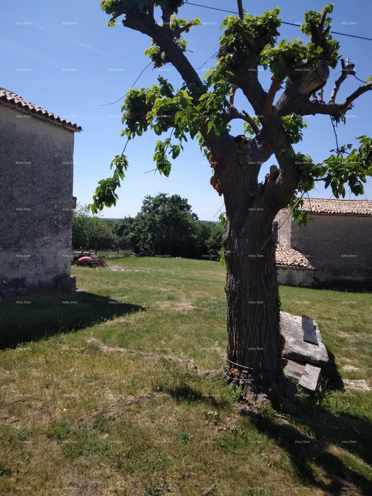 Maison À vendre - ISTARSKA BARBAN