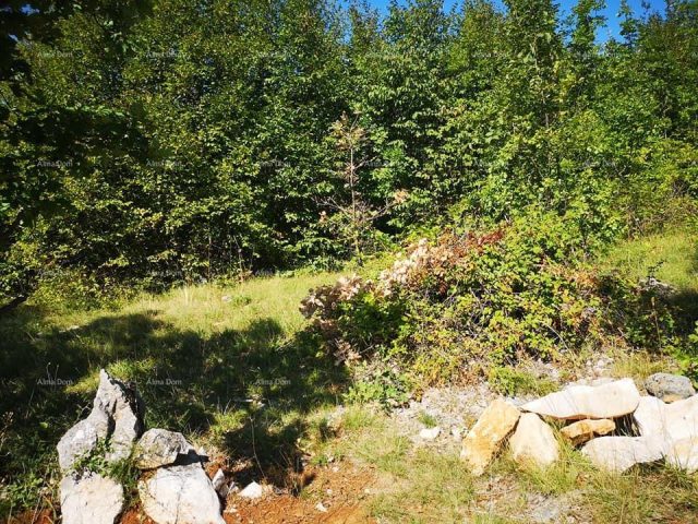 Pozemek na prodej 1006 m² – Rabac