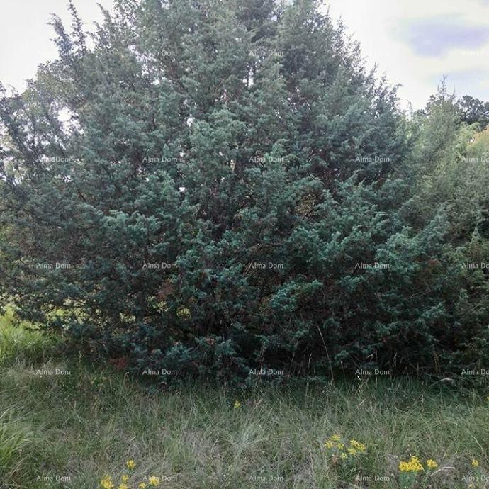 Terreno In vendita - ISTARSKA SVETVINčENAT