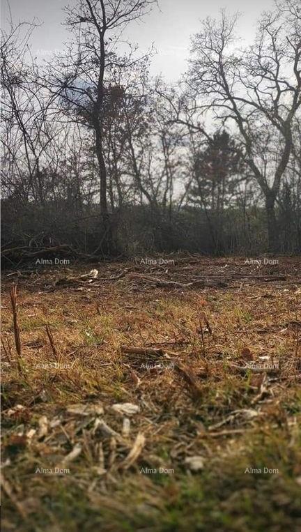 Terreno In vendita - ISTARSKA GROžNJAN