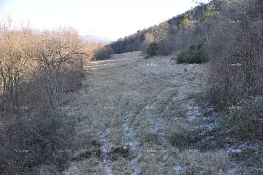 Terreno In vendita - ISTARSKA BUZET