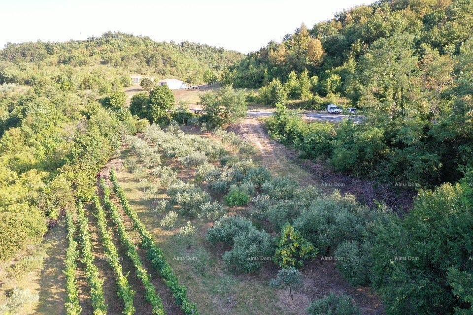 Pozemek Na prodej - ISTARSKA GRAčIšćE