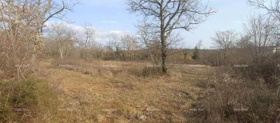 Land For sale - ISTARSKA GROžNJAN