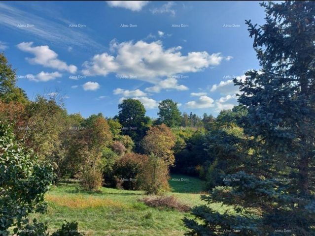 Land for sale 3337 m² – Stari Pazin