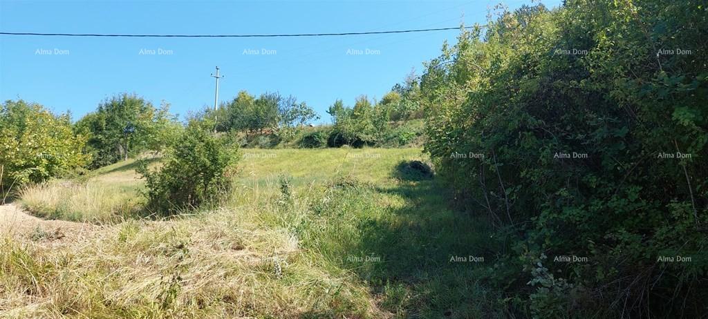 Land For sale - ISTARSKA PAZIN - OKOLICA