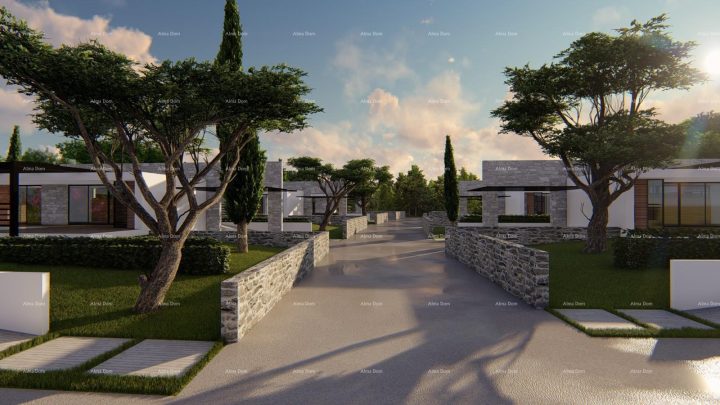 Land for sale 7546 m² – Gajana