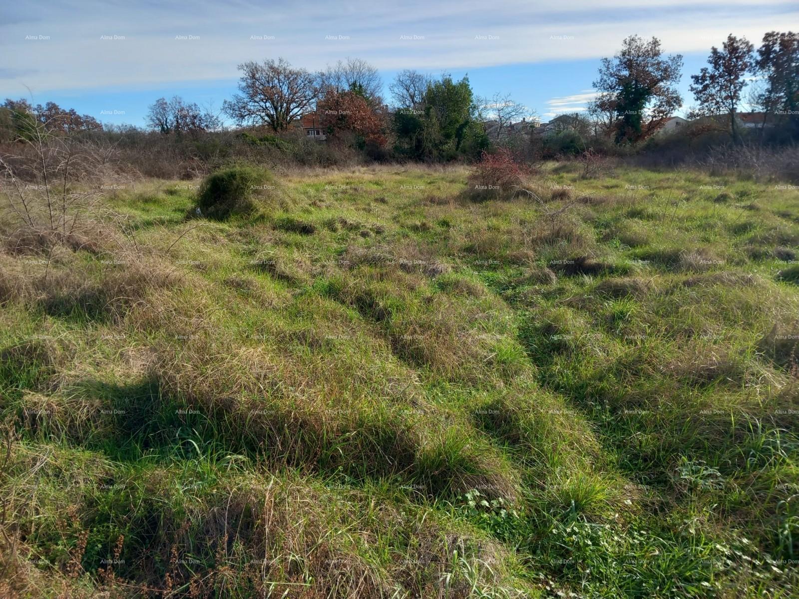 Terrain À vendre