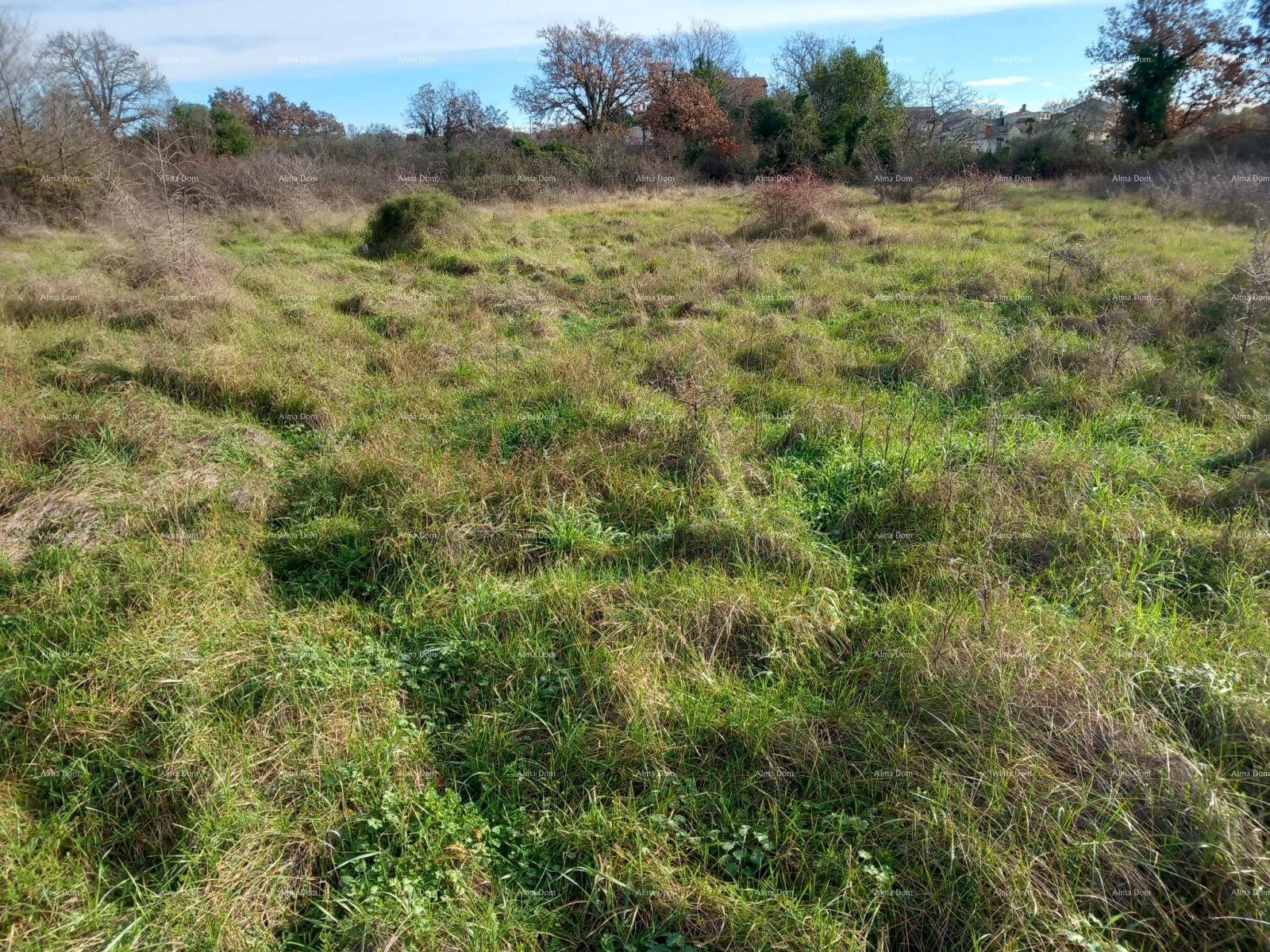 Terrain À vendre - ISTARSKA SVETVINčENAT