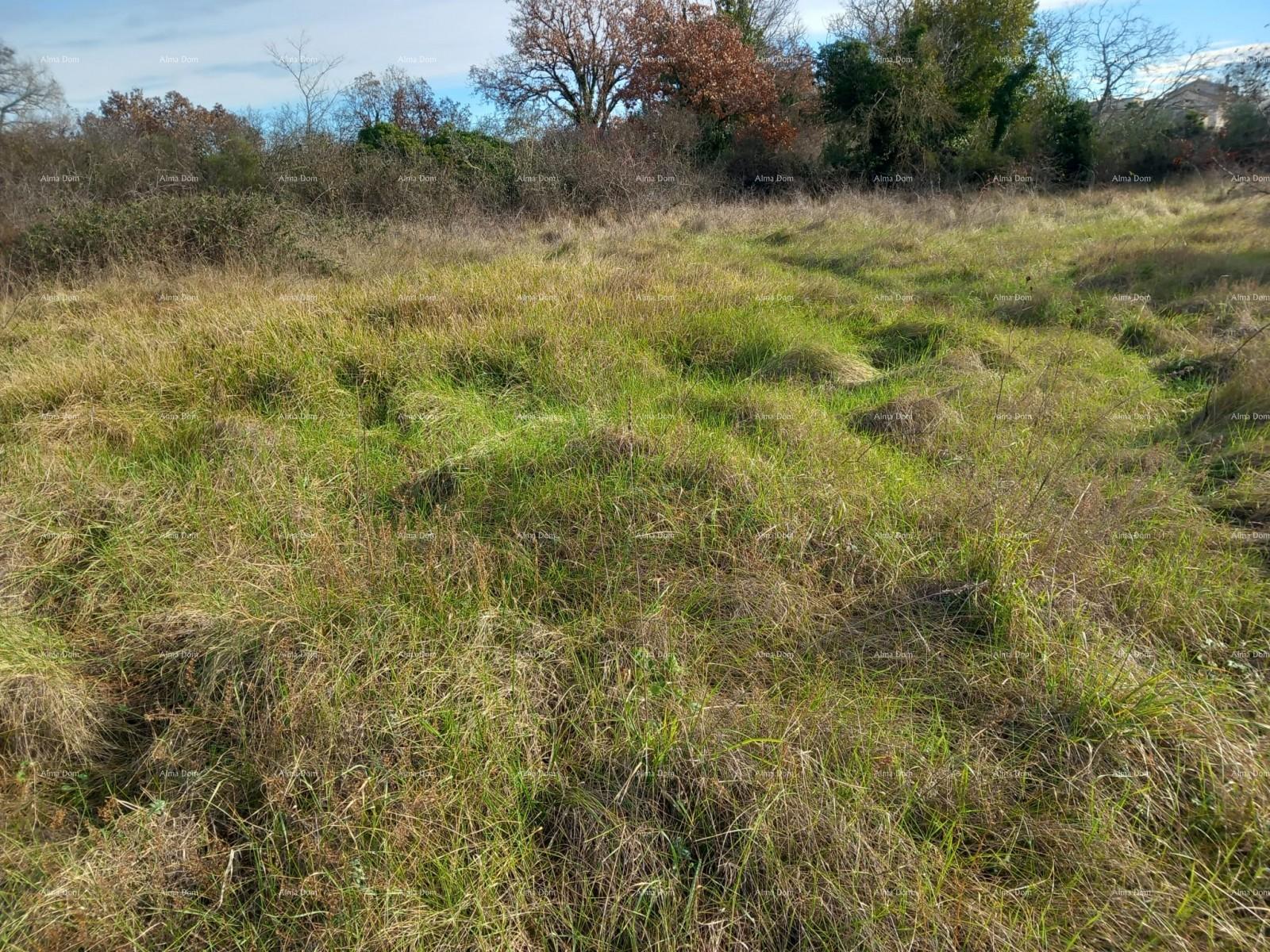 Terrain À vendre - ISTARSKA SVETVINčENAT