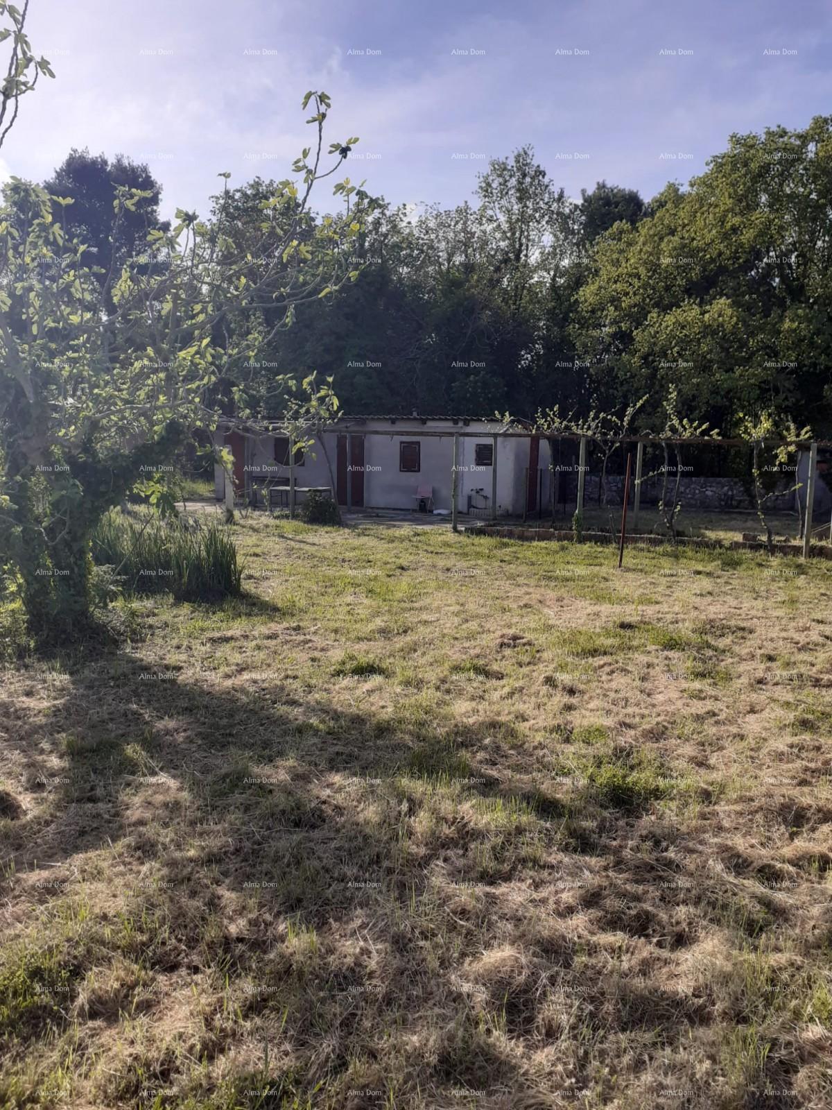 Dom Na predaj - ISTARSKA MEDULIN