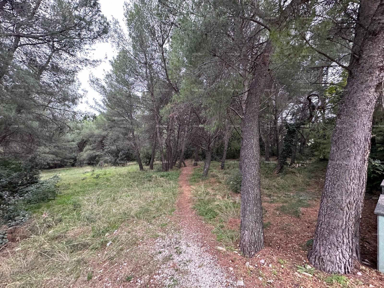 Land For sale STOJA