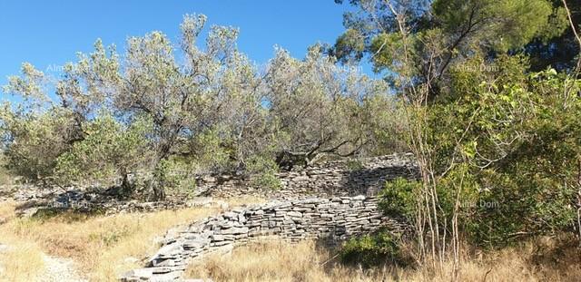 Terreno In vendita - DUBROVAčKO-NERETVANSKA KORčULA