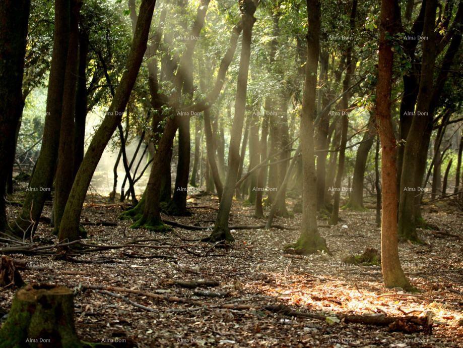 Terreno In vendita - ISTARSKA SVETVINčENAT