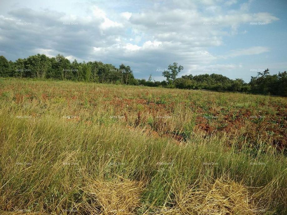 Terreno In vendita - ISTARSKA SVETVINčENAT