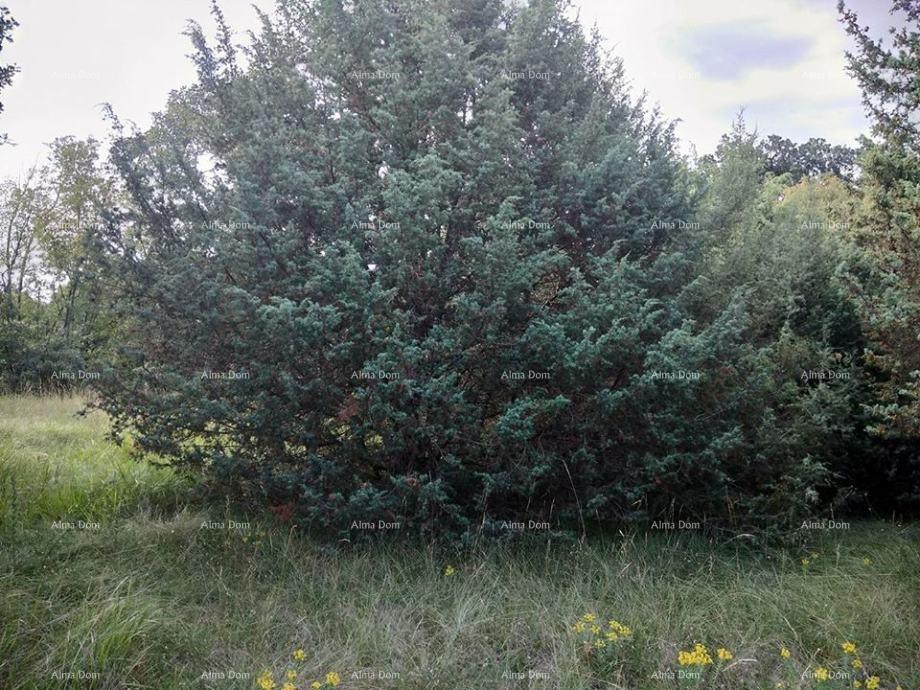 Terreno In vendita - ISTARSKA SVETVINčENAT