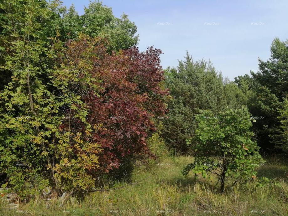 Terreno In vendita - ISTARSKA SVETVINčENAT