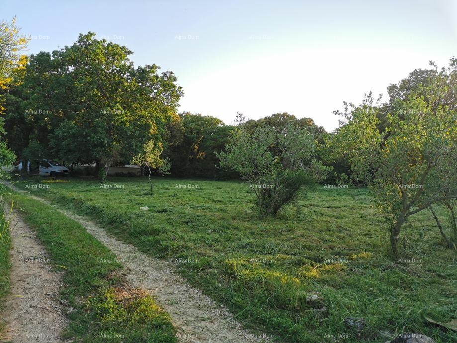 Zemljište Na prodaju - ISTARSKA LIžNJAN