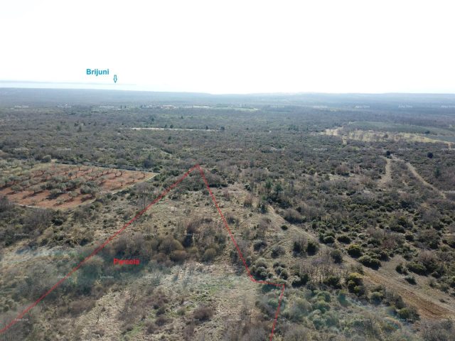 Land for sale 30000 m² – Vodnjan