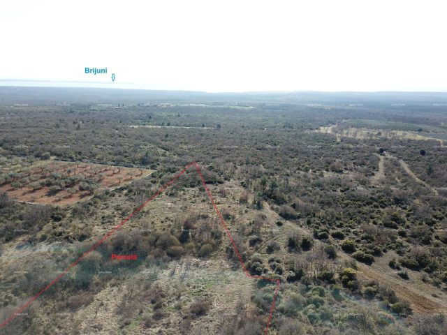 Pozemek na prodej 30000 m² – Vodnjan