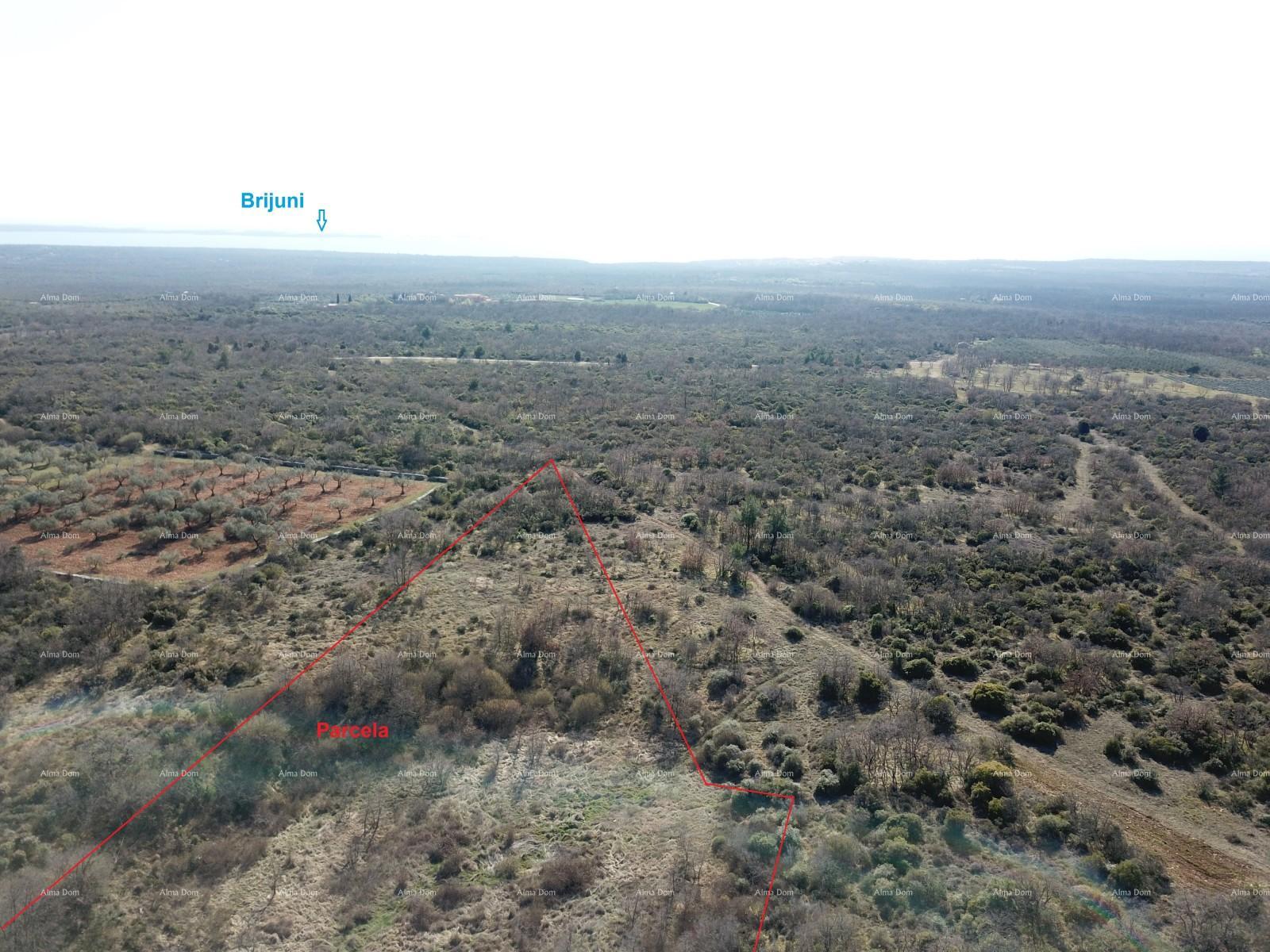 Parcela Na predaj - ISTARSKA VODNJAN