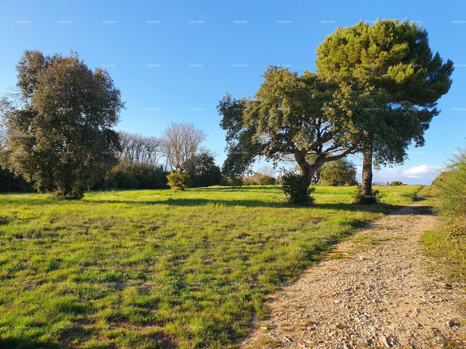 Terreno In vendita - ISTARSKA PULA