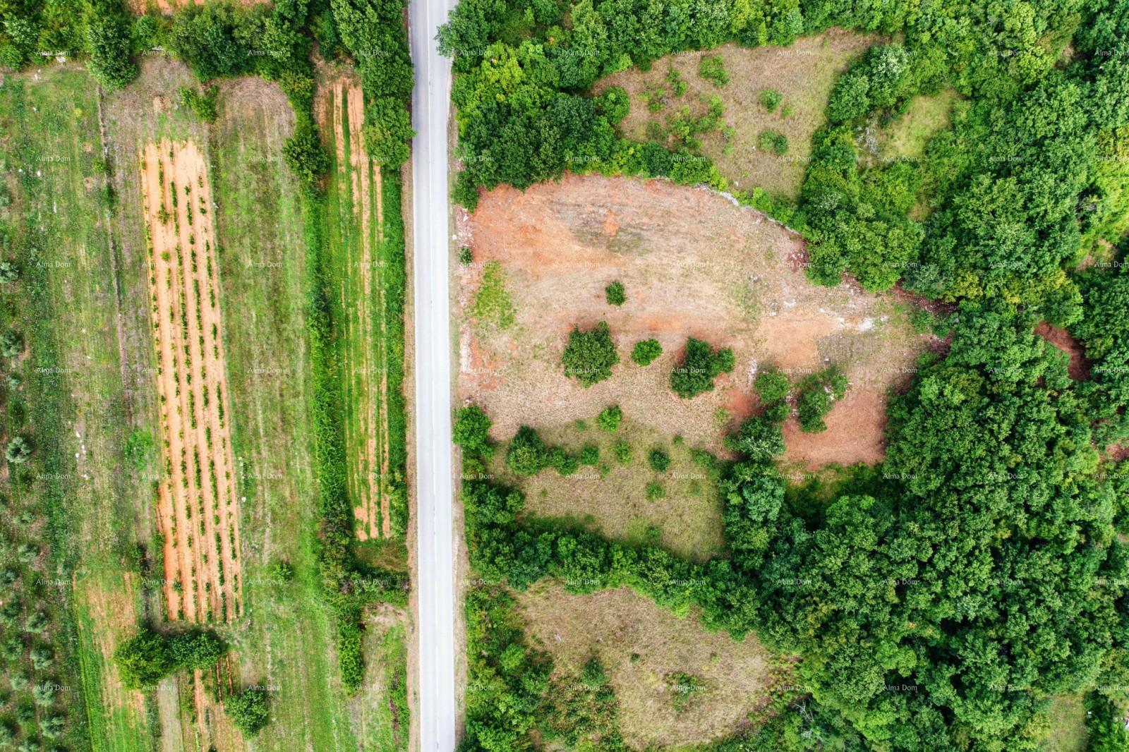 Terreno In vendita - ISTARSKA BARBAN