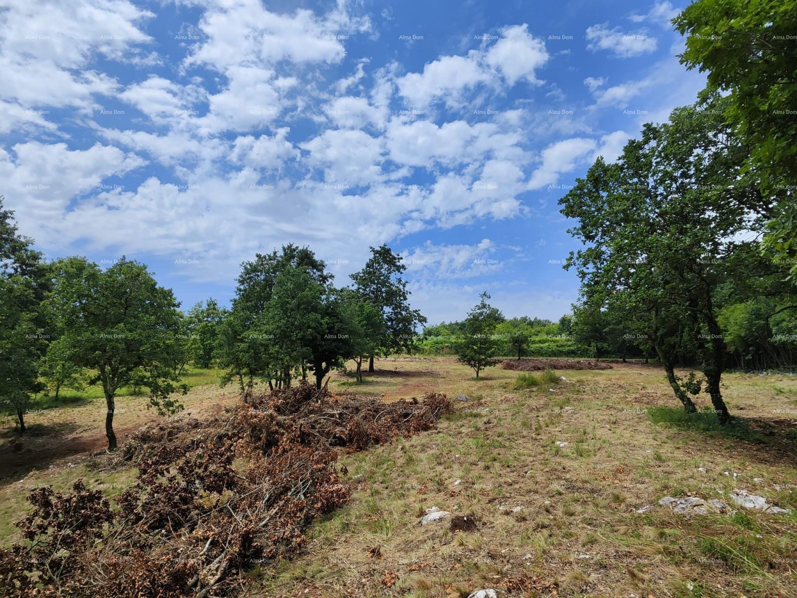 Terreno In vendita - ISTARSKA BARBAN