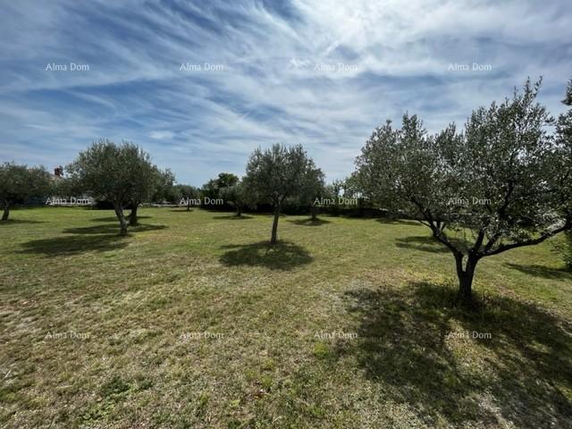 Terreno In vendita - ISTARSKA VODNJAN