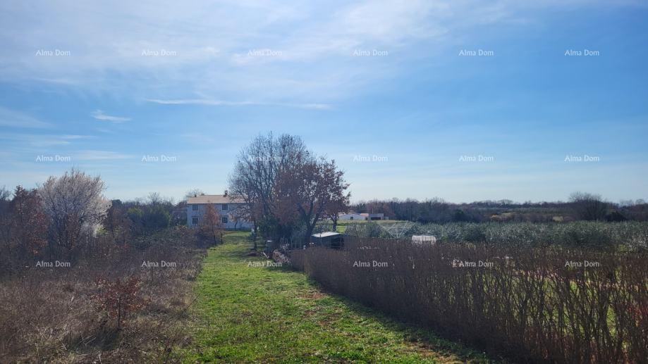 Grundstück zu verkaufen 8500 m² – Kosinožići