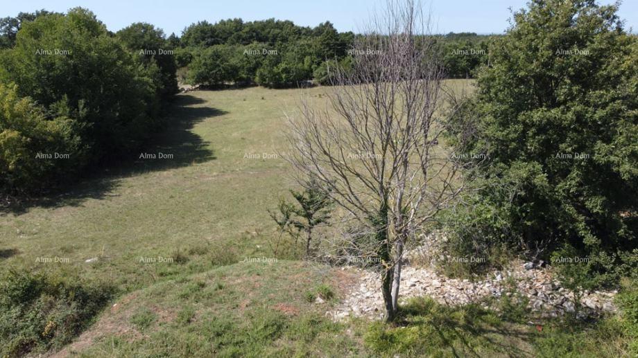 Pozemek Na prodej - Istarska Svetvinčenat - foto 3/3