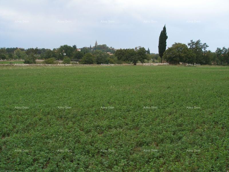 Land For sale - Istarska žminj - foto 1/15