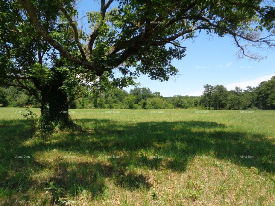 Land For sale - ISTARSKA ŽMINJ
