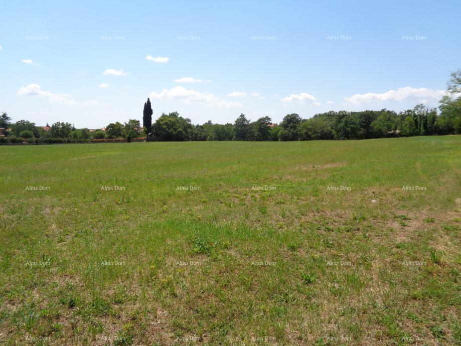 Land For sale - ISTARSKA ŽMINJ