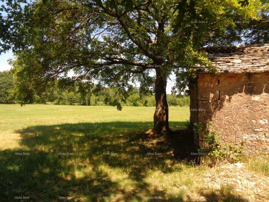 Land For sale - ISTARSKA ŽMINJ