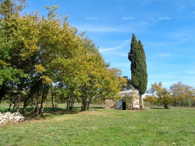 Land For sale - Istarska žminj - foto 2/15