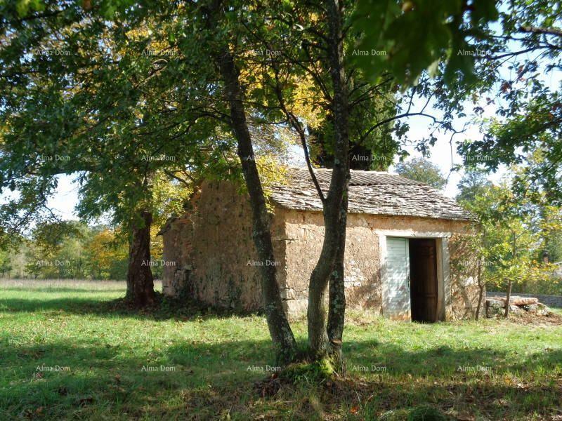 Land For sale - Istarska žminj - foto 3/15
