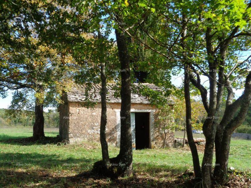 Land For sale - Istarska žminj - foto 4/15