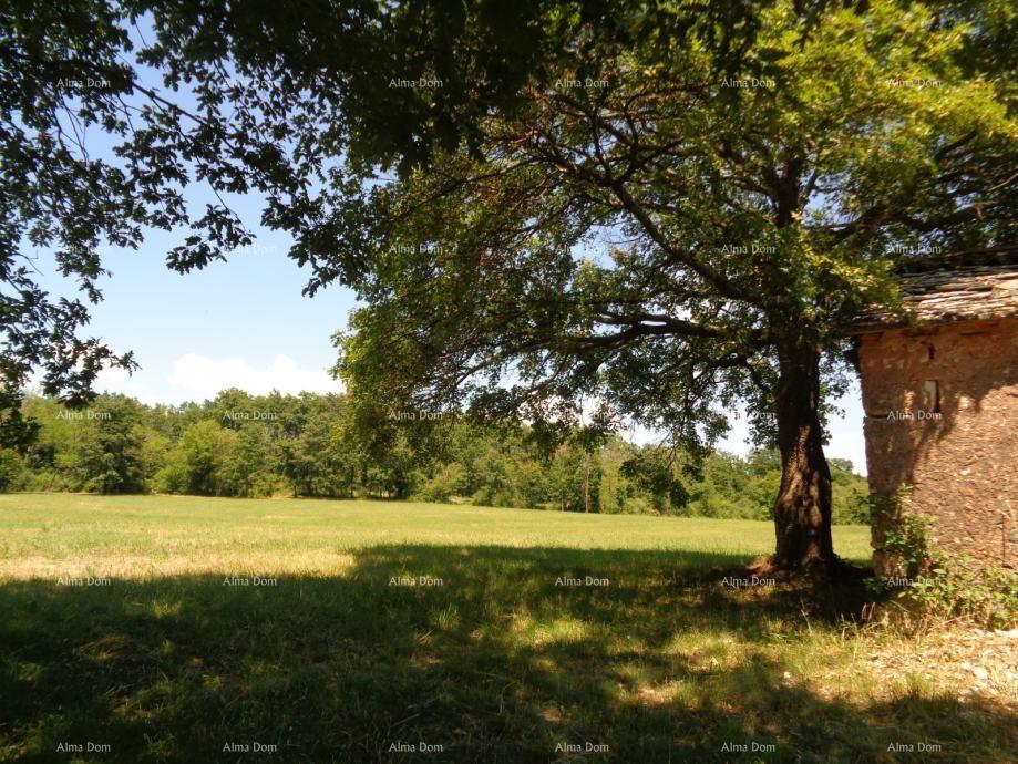 Land For sale - ISTARSKA ŽMINJ