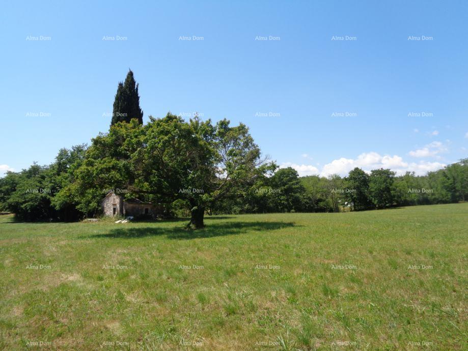 Land For sale - ISTARSKA ŽMINJ