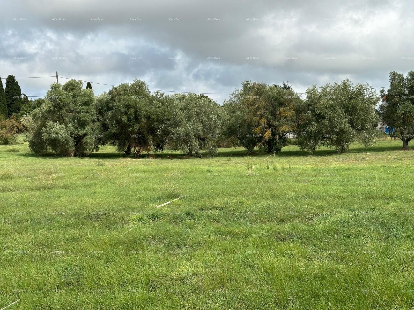 Zemljište Na prodaju - ISTARSKA PULA