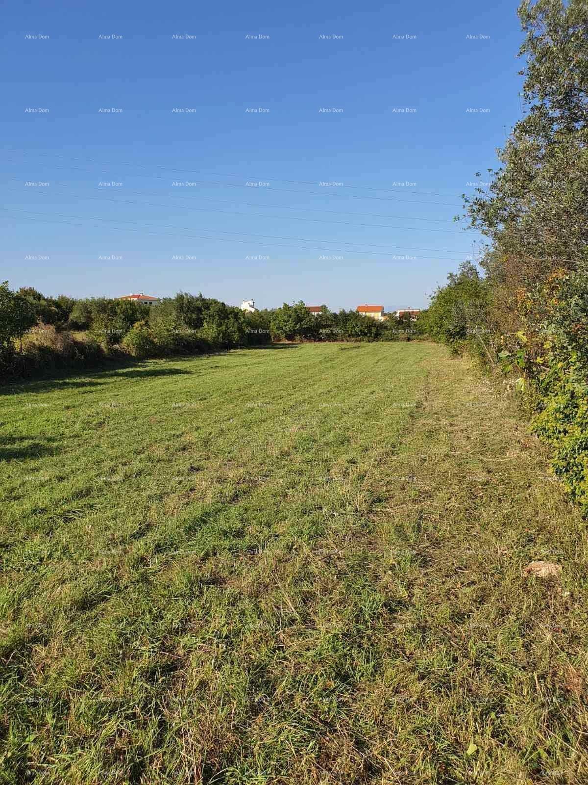 Land For sale - ISTARSKA MARčANA