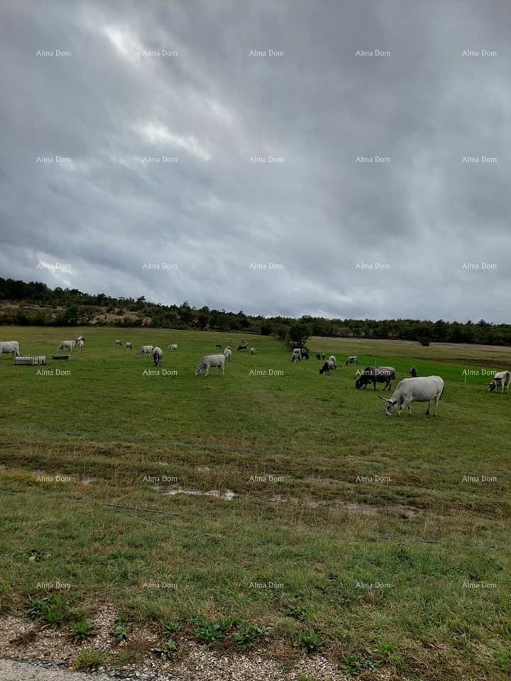 Kuća Na prodaju - ISTARSKA LANIšćE