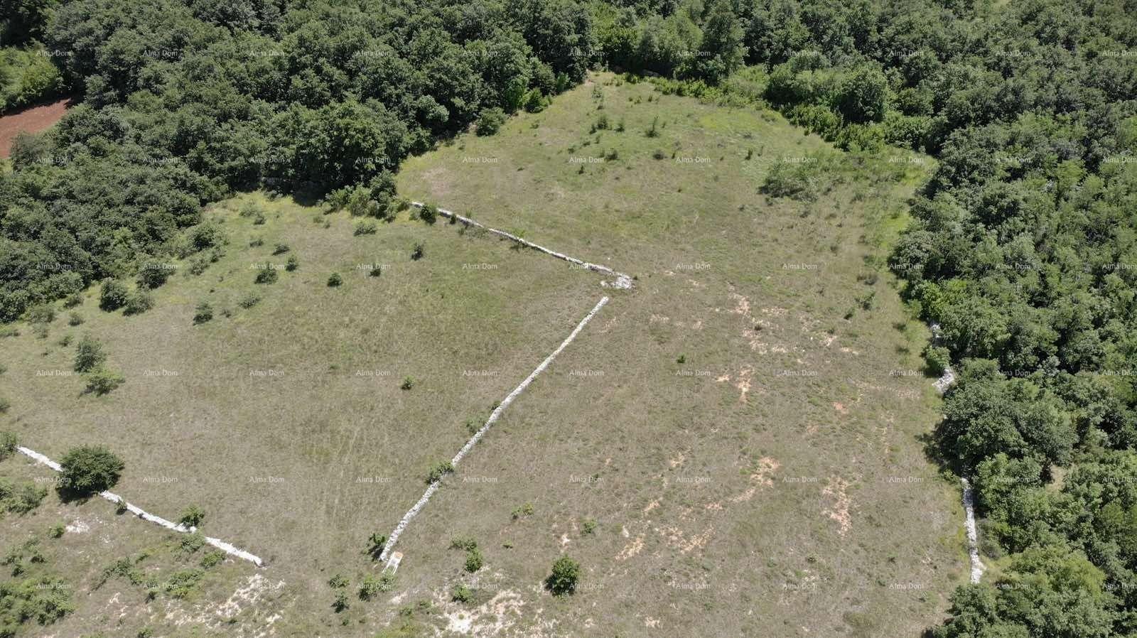 Grundstück zu verkaufen 12950 m² – Bibići