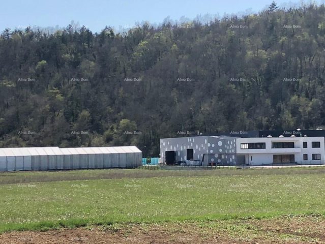 Land for sale 8000 m² – Beram