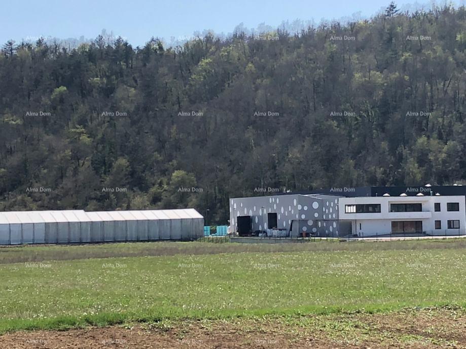 Terreno in vendita 8000 m² – Beram