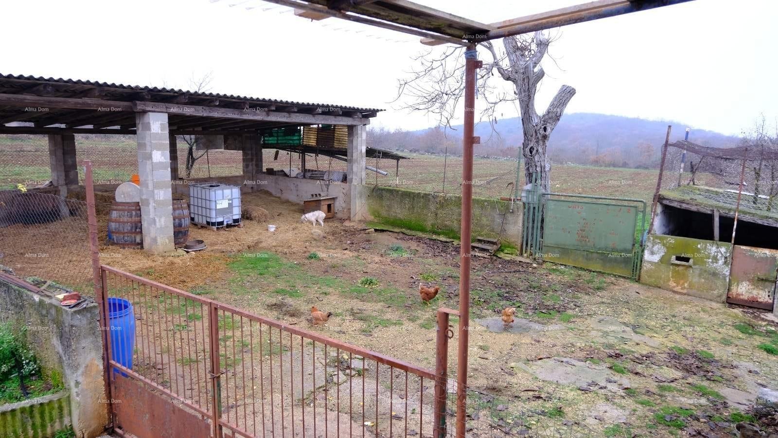 Hiša Naprodaj - ISTARSKA Bale