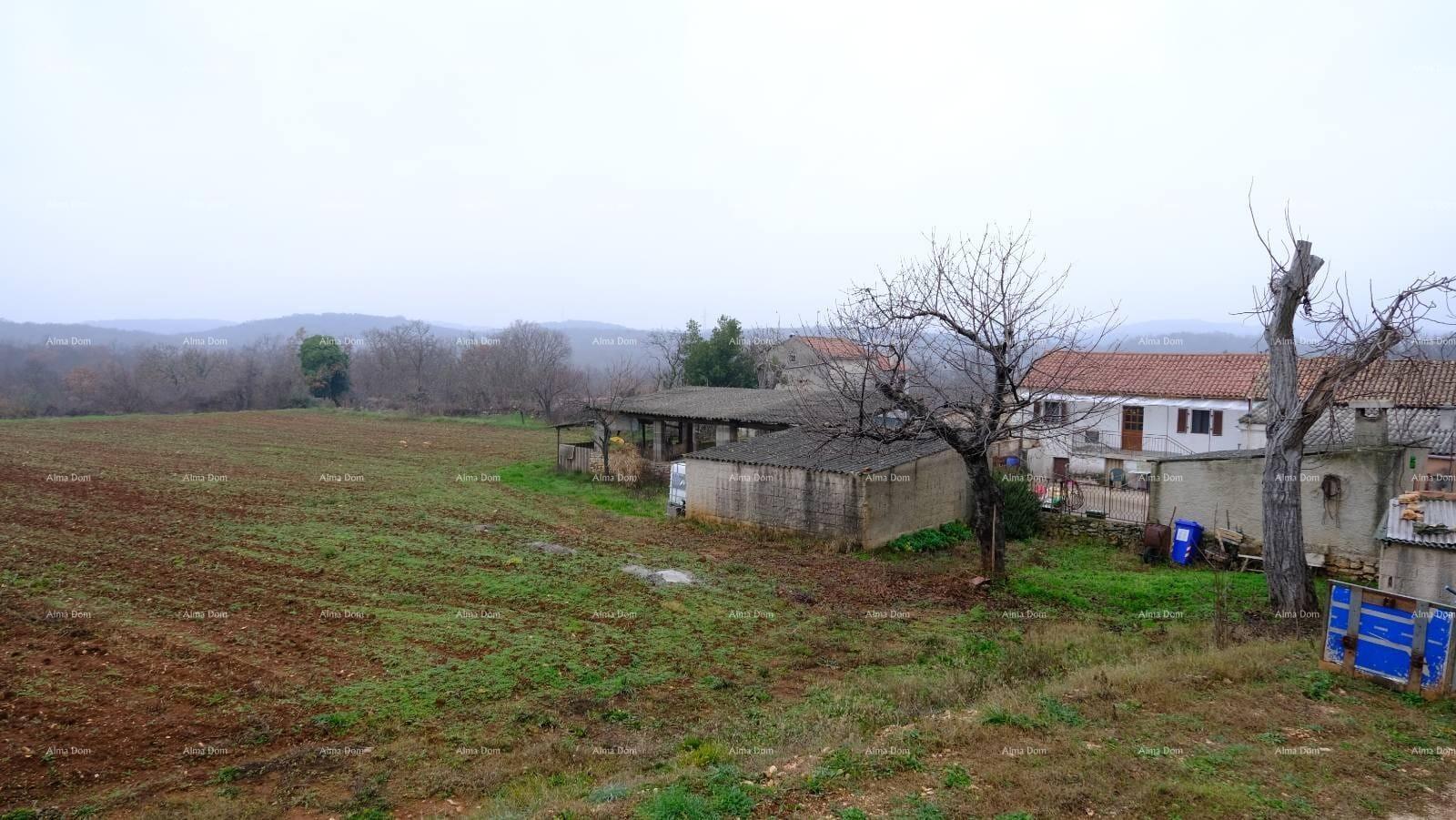 Haus Zu verkaufen - ISTARSKA BALE