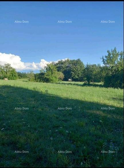 Land For sale - ISTARSKA PAZIN - OKOLICA